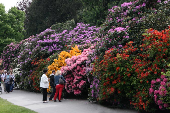 Mainau