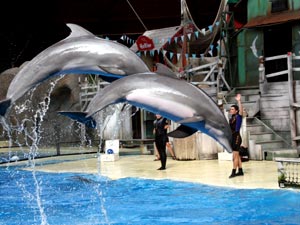 Boudewijn Sea Park.