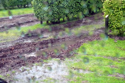 Camping de Gand