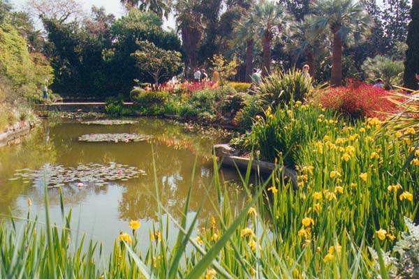 Le jardin de Blanes.