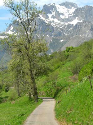 Route vers les pics d'Europe Route vers les pics d'Europe
