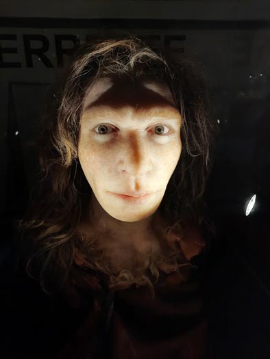 Paléosite Paléosite