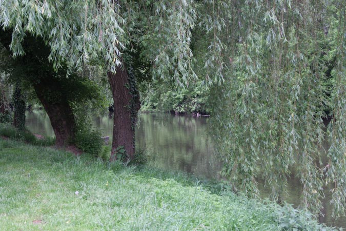 Saint Léon sur Vézère