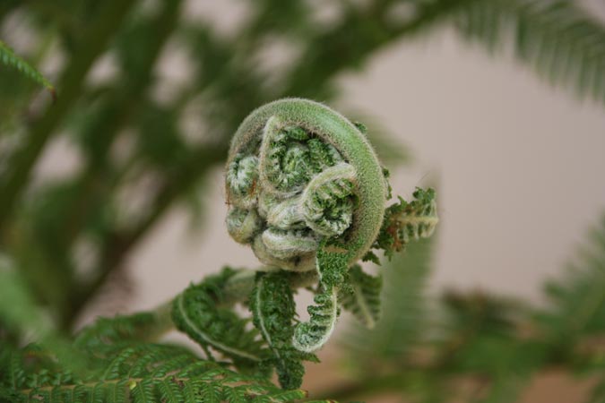 Jardins de l'Imaginaire Jardins de l'Imaginaire