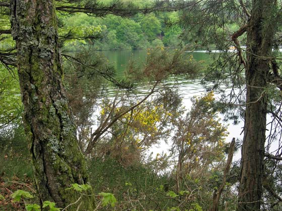 Vassivière Vassivière