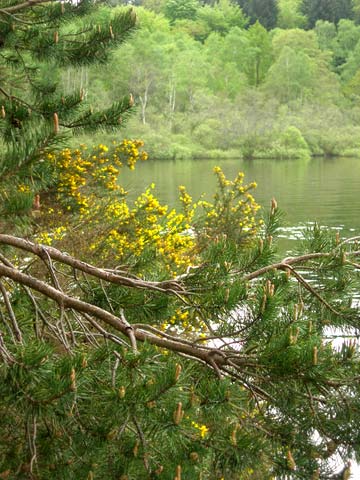 Vassivière Vassivière