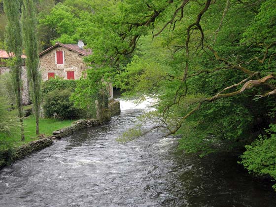 Torrent Torrent
