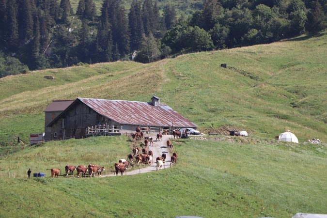 Col des Aravis Col des Aravis