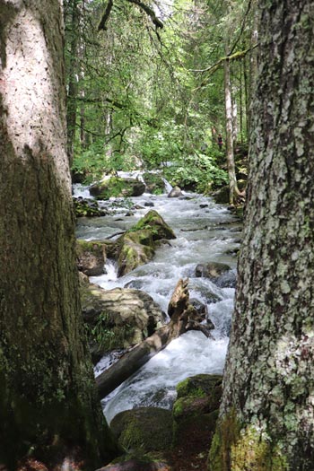 Cascade d'Ardent Cascade d'Ardent