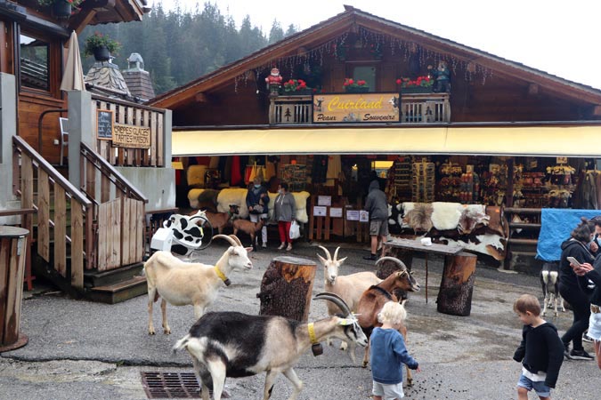 Village des Lindarets Village des Lindarets