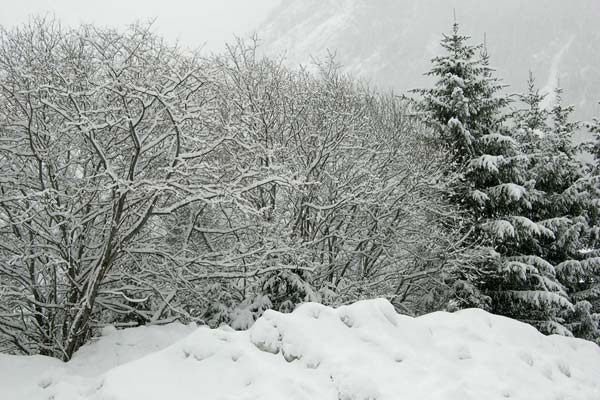 La neige a tout recouvert.