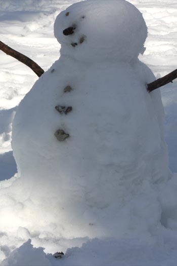 Bonhomme de neige Bonhomme de neige