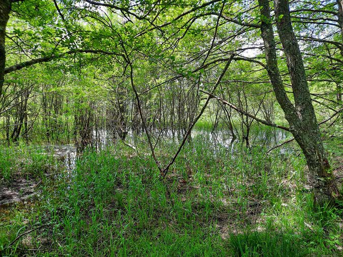 Saint Brisson Saint Brisson