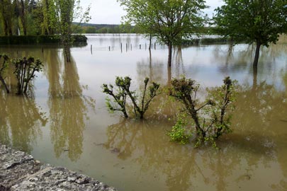 Inondation à La Truchère