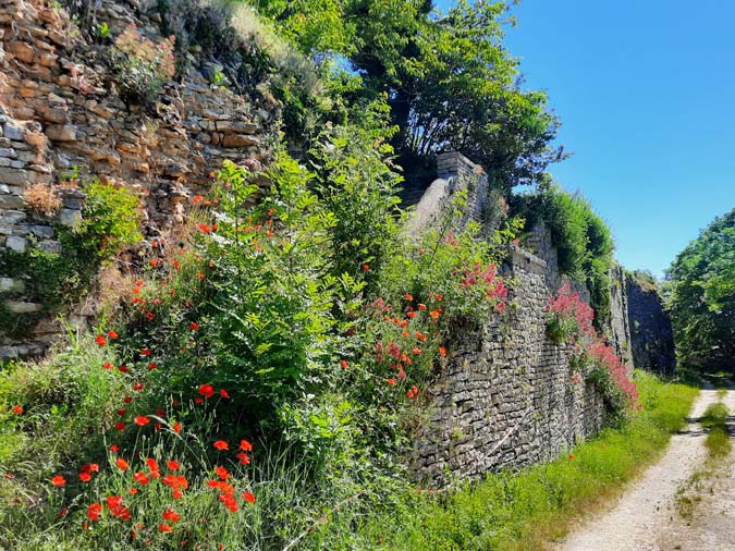 Vézelay Vézelay