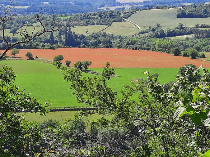 Vézelay Vézelay