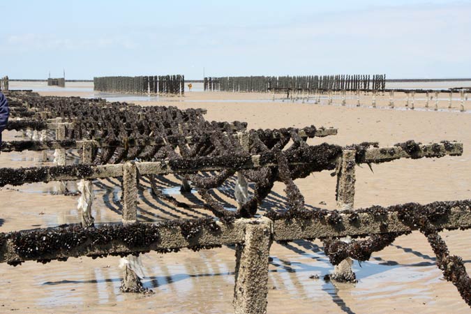 Baie du Mt St Michel