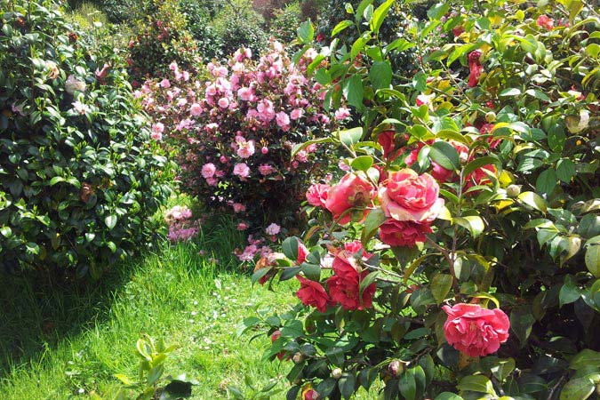 Parc floral de Bretagne