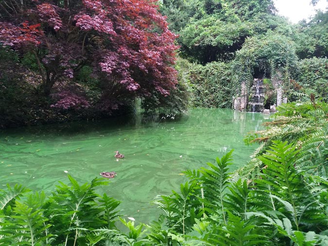 Jardin du Kerdalo Jardin du Kerdalo