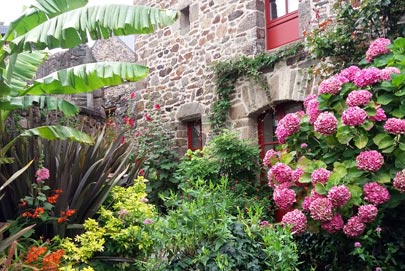 Ruelle fleurie à St Suliac