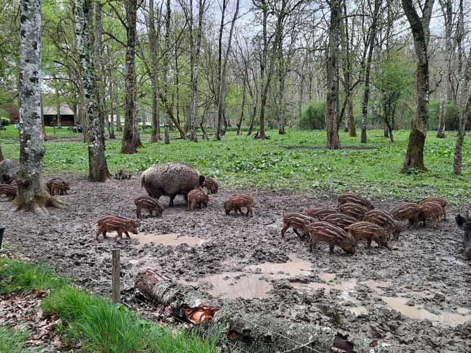 R&eacute;serve Beaumarchais