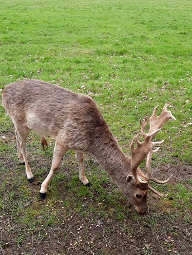R&eacute;serve Beaumarchais