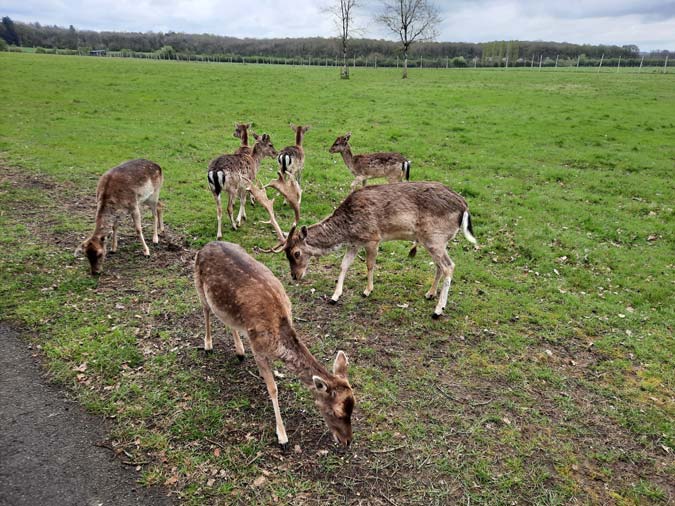 R&eacute;serve Beaumarchais