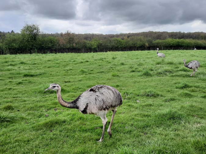 R&eacute;serve Beaumarchais