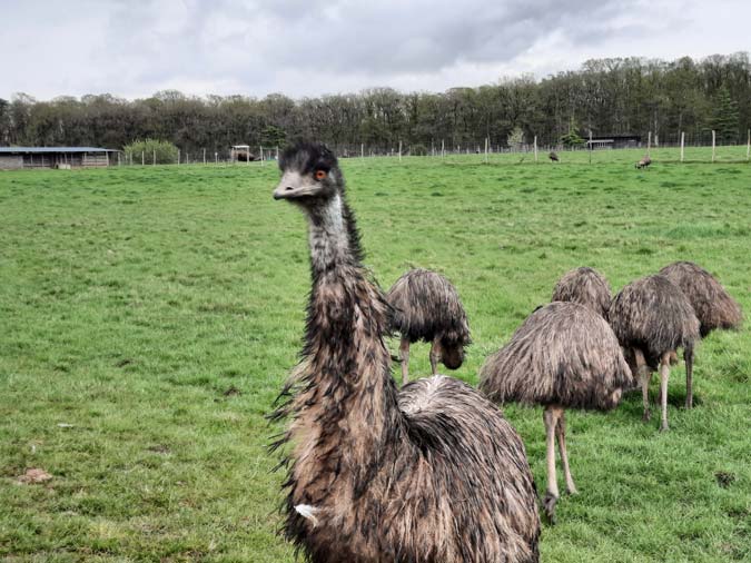 R&eacute;serve Beaumarchais