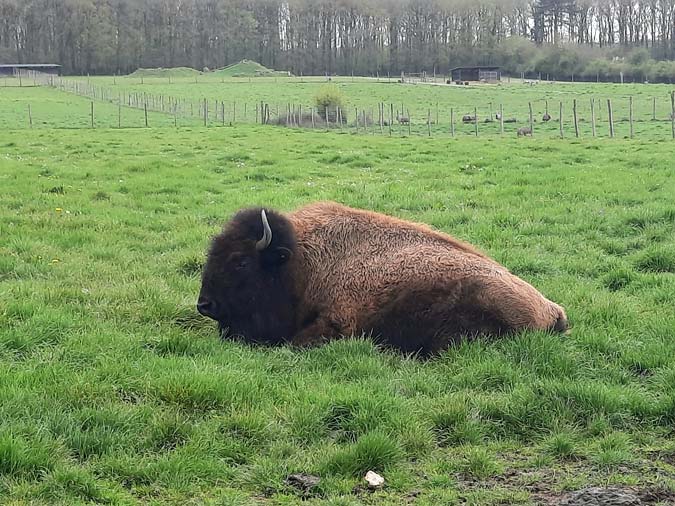 R&eacute;serve Beaumarchais