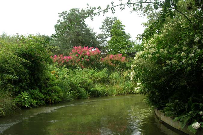 Terra Botanica