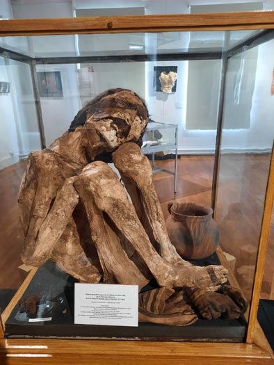 Mus&eacute;e St Dizier