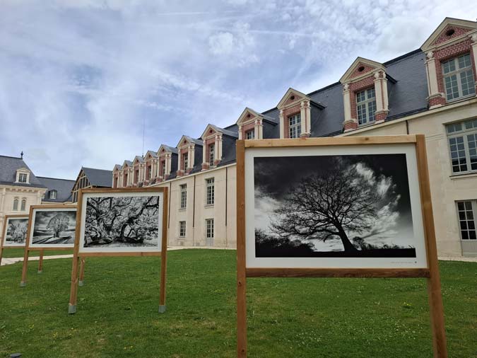 Villers Cotterets Villers Cotterets