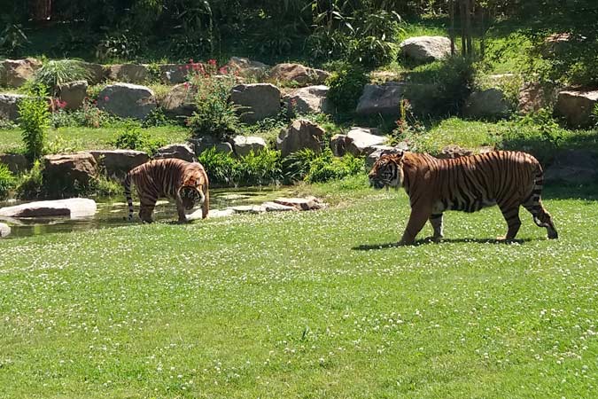 Zoo de Champrepus