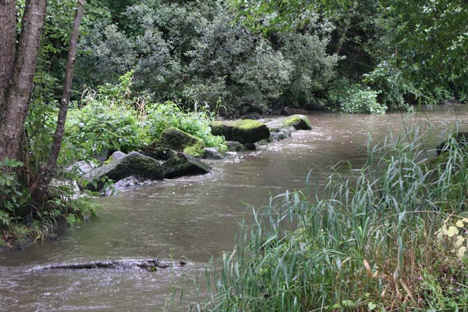 Chant des cailloux Chant des cailloux