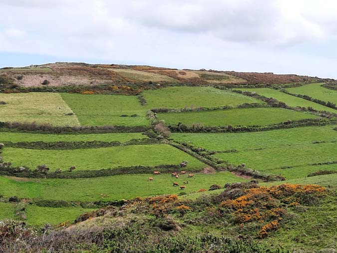 Baie d'Ecalgrain Baie d'Ecalgrain