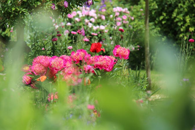 Giverny