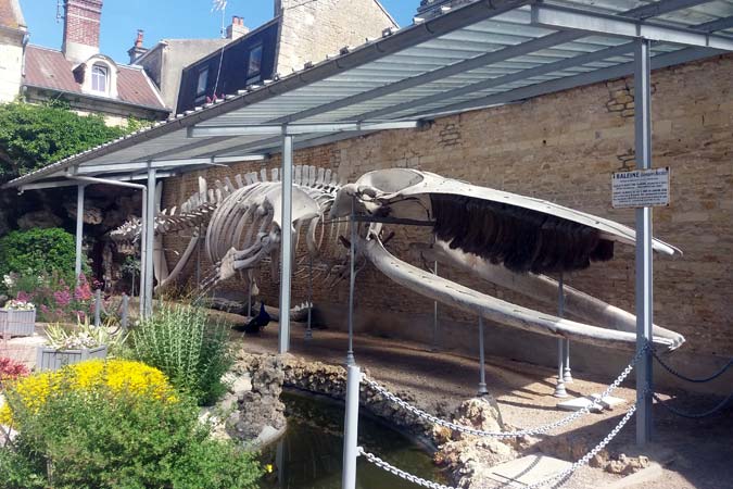 Luc-sur-Mer