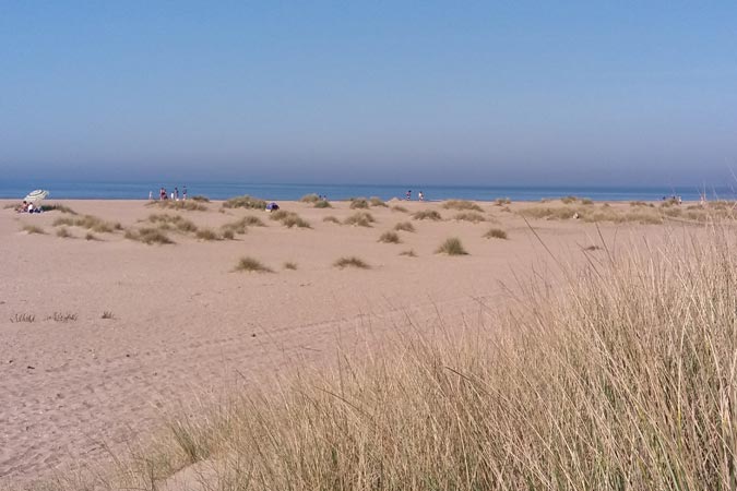 Merville-Franceville