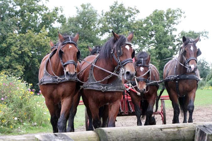 La Michaudi&egrave;re