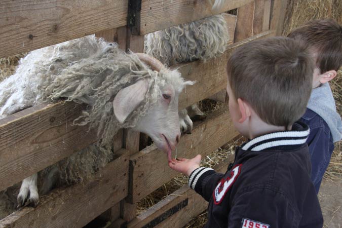 Ferme des falaises