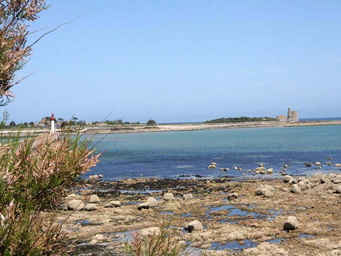 Ile de Tatihou Ile de Tatihou