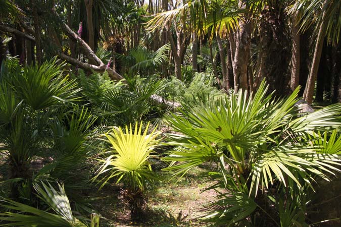 Jardin de Vauville Jardin de Vauville