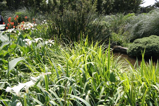 Jardin de Vauville Jardin de Vauville