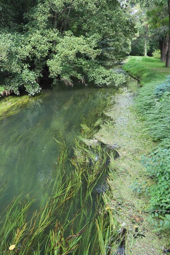 Château de Vendeuvre