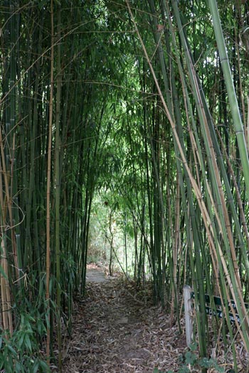 Château de Vendeuvre