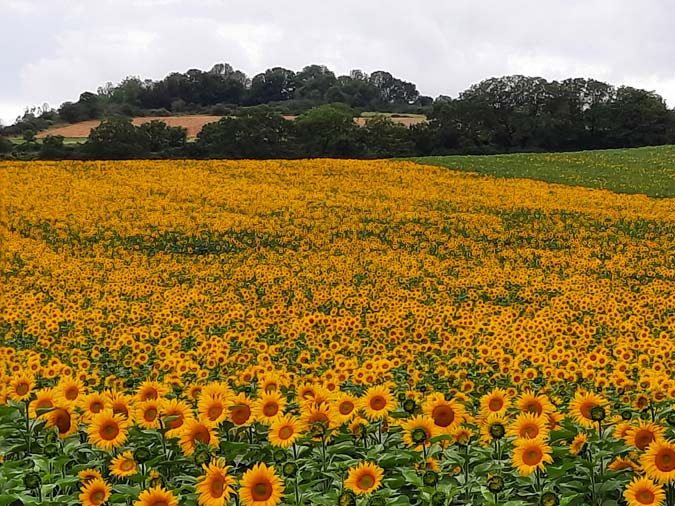 Vers Martres de Veyre