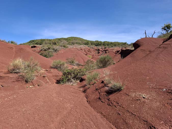 Rougier de Camar&egrave;s