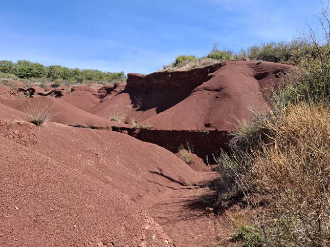 Rougier de Camar&egrave;s