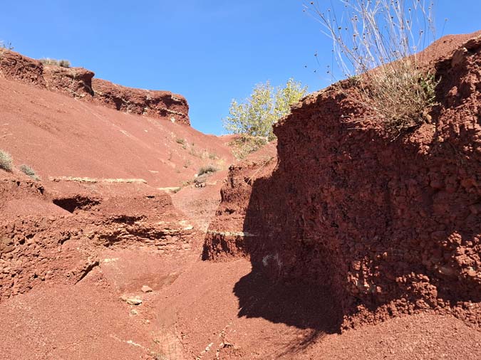 Rougier de Camar&egrave;s